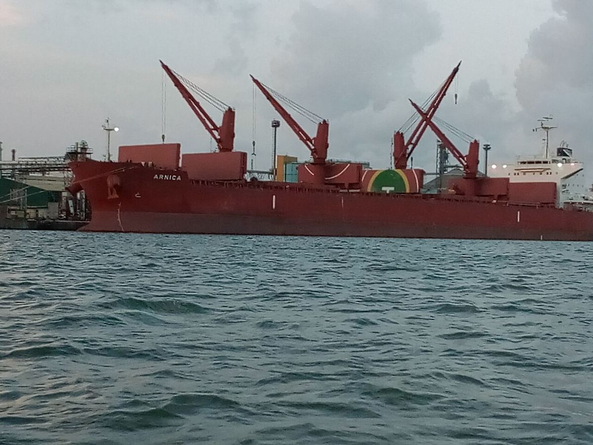 Cargo ships and cranes at Apapa port, Lagos